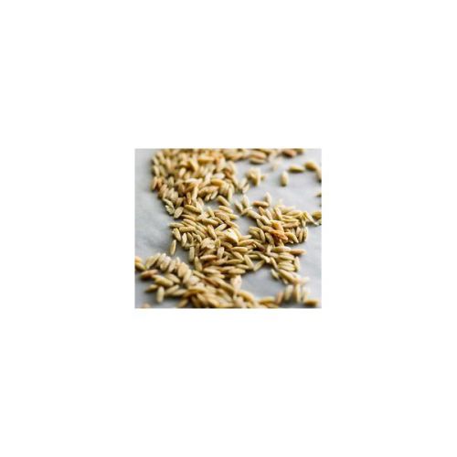 Pasta met Eekhoorntjesbrood Pasta met Eekhoorntjesbrood