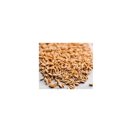 Pasta met tomaat Pasta met tomaat