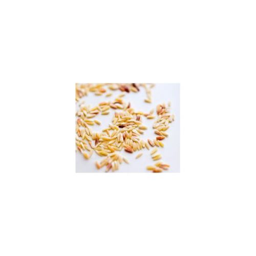 Griekse pasta Griekse pasta