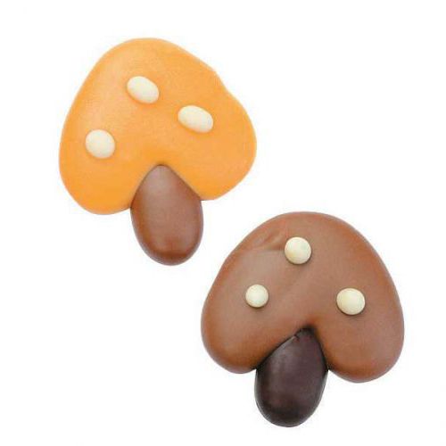PADDESTOEL chocolade caraque PADDESTOEL chocolade caraque