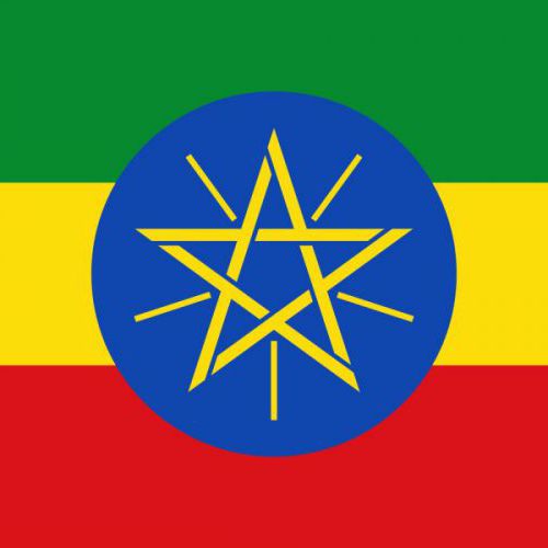 Abebe Mulugetta Abebe Mulugetta